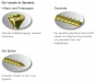 Preview: 500 Dielenschrauben 3,5 x 60mm